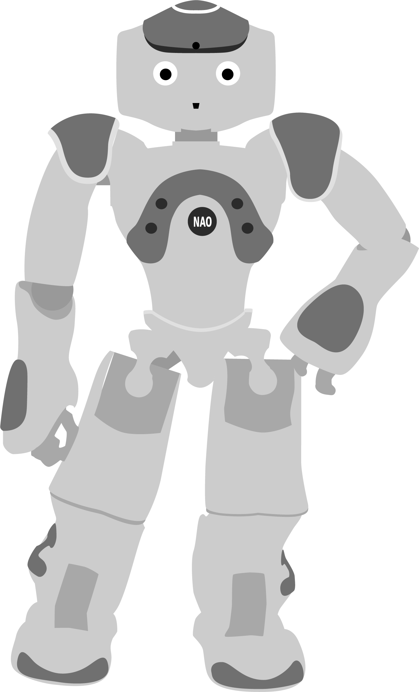 logo NAO